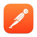 Postman's desktop app icon